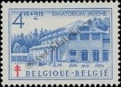 Známka Belgie Katalogové číslo: 881