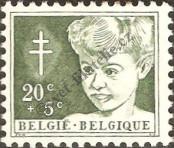 Známka Belgie Katalogové číslo: 1004