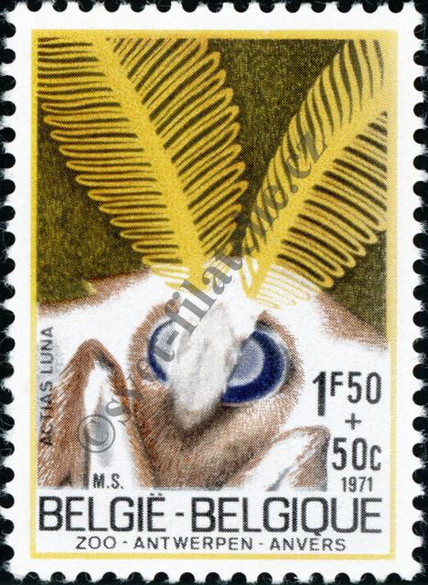 Katalogové číslo: 1663