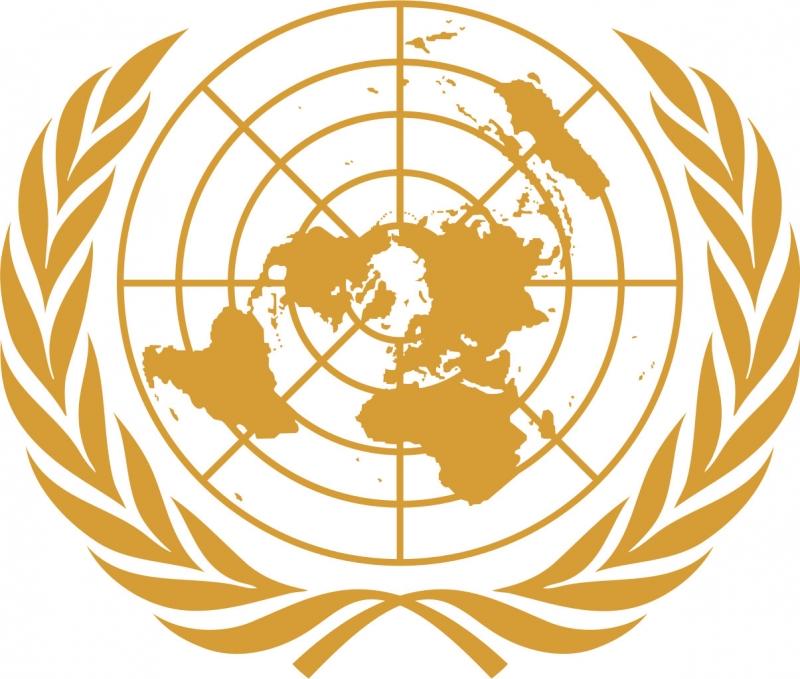 Organizace spojených národů (OSN)