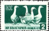 Stamp Bulgaria Catalog number: 935