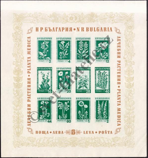 Catalog number: B/4