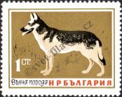 Stamp Bulgaria Catalog number: 1462
