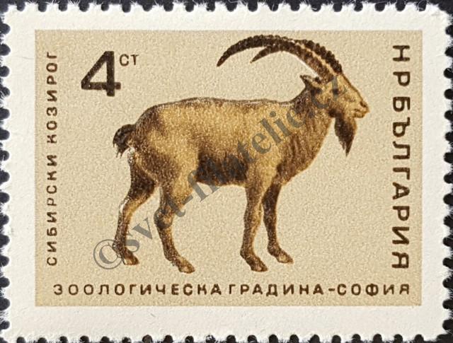 Catalog number: 1621