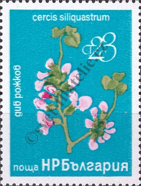 Catalog number: 2545