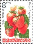 Stamp Bulgaria Catalog number: 3261
