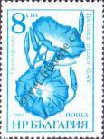 Stamp Bulgaria Catalog number: 3489