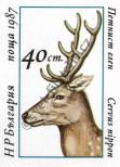 Stamp Bulgaria Catalog number: 3577/B