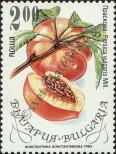 Stamp Bulgaria Catalog number: 4056