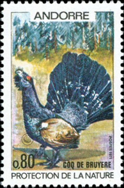Catalog number: 231