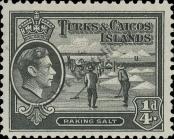 Stamp Turks & Caicos Islands Catalog number: 118