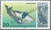 Stamp Western Berlin Catalog number: 552