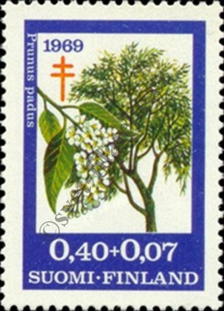 Catalog number: 659