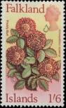 Stamp Falkland Islands Catalog number: 170