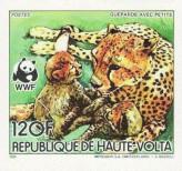 Stamp Burkina Faso | Upper Volta Catalog number: 960/B