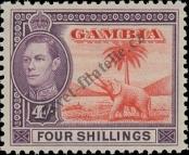 Stamp Gambia Catalog number: 136