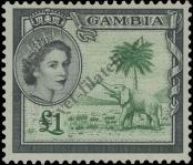 Stamp Gambia Catalog number: 162