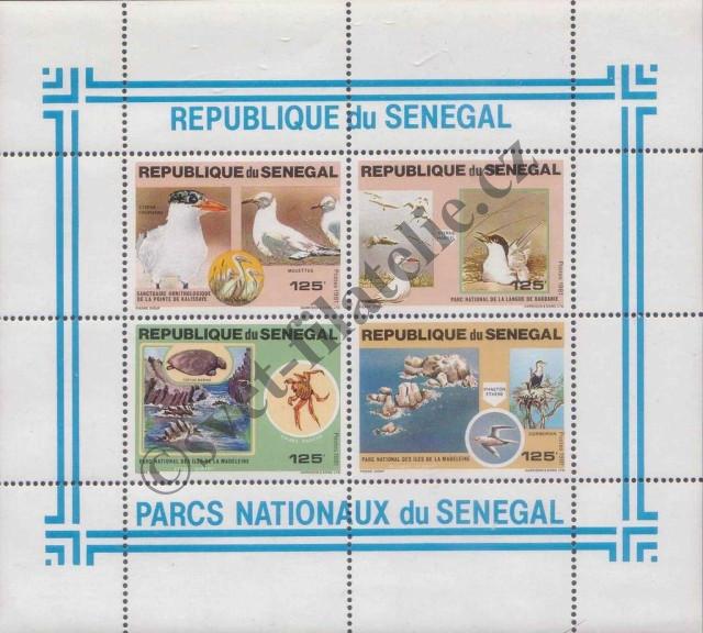 Catalog number: B/40