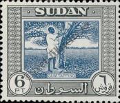 Stamp Sudan Catalog number: 143