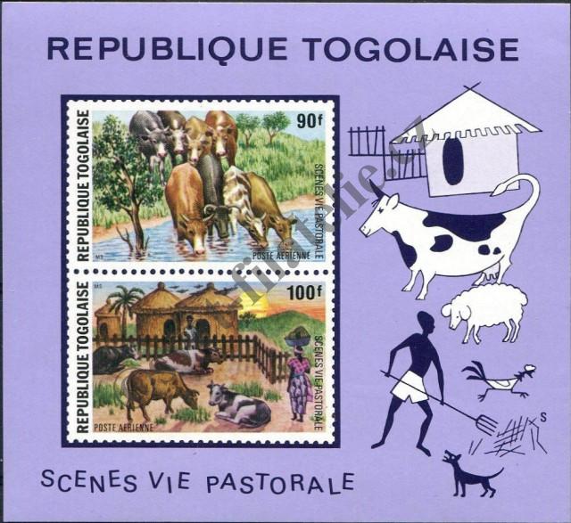 Catalog number: B/91
