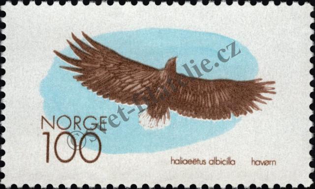 Catalog number: 605