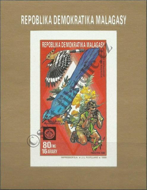 Catalog number: B/79/B