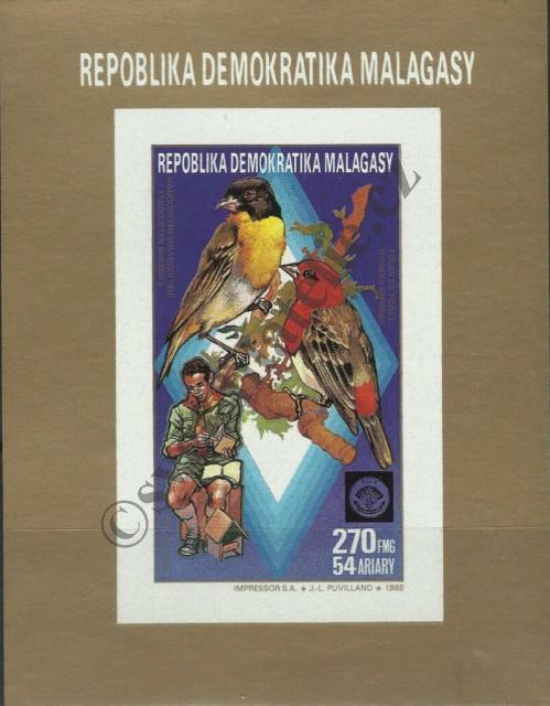 Catalog number: B/81/B