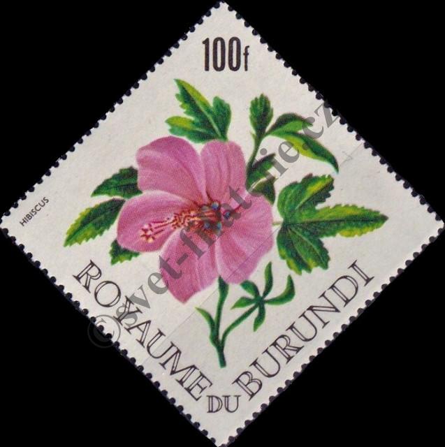 Catalog number: 231/A