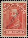 Stamp Newfoundland Catalog number: 63
