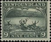 Stamp Newfoundland Catalog number: 121