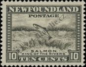 Stamp Newfoundland Catalog number: 178
