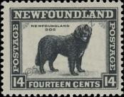Stamp Newfoundland Catalog number: 179
