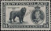 Stamp Newfoundland Catalog number: 226/A