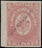 Stamp Newfoundland Catalog number: 13/a