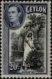 Stamp Ceylon Catalog number: 236