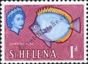 Stamp Saint Helena Catalog number: 146