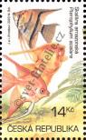 Stamp Czech republic Catalog number: 365