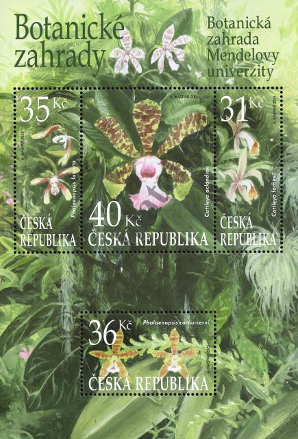 Catalog number: B/119