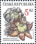 Stamp Czech republic Catalog number: 260