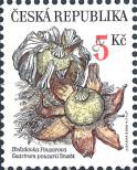 Stamp Czech republic Catalog number: 260