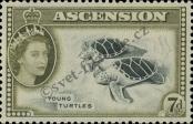 Stamp Ascension Catalog number: 70