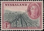 Stamp Nyasaland Catalog number: 75
