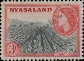 Stamp Nyasaland Catalog number: 104/A