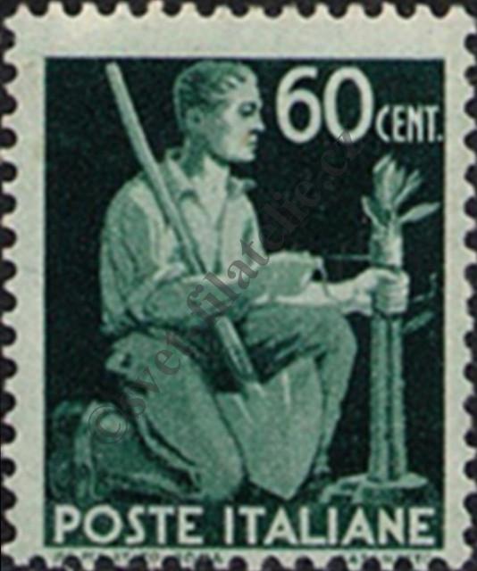 Catalog number: 687/A