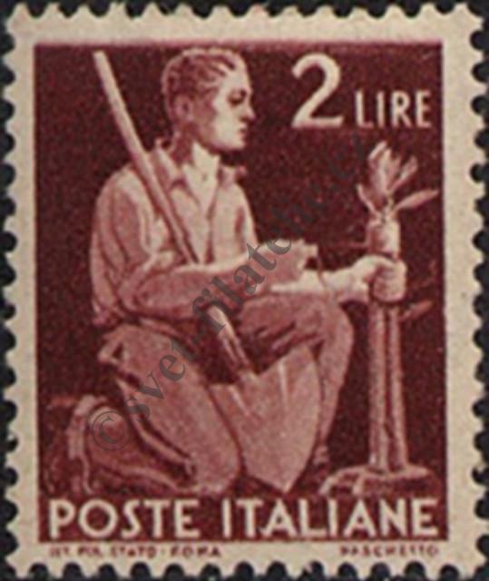 Catalog number: 691/A