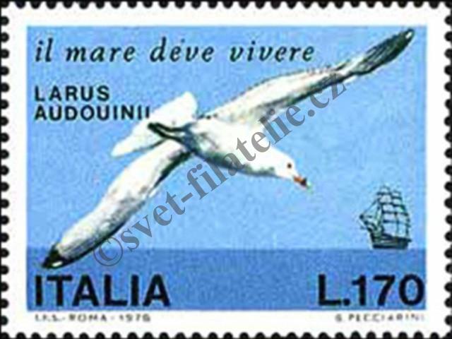 Catalog number: 1606