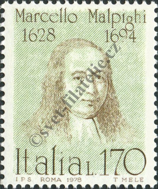 Catalog number: 1617