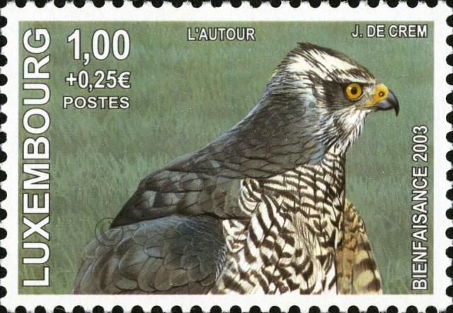 Catalog number: 1625