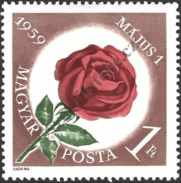 Catalog number: 1582/A