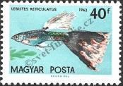 Stamp  Catalog number: 1822/A